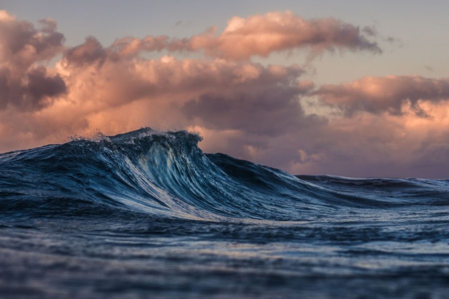 Photo Bodyboarder riding wave