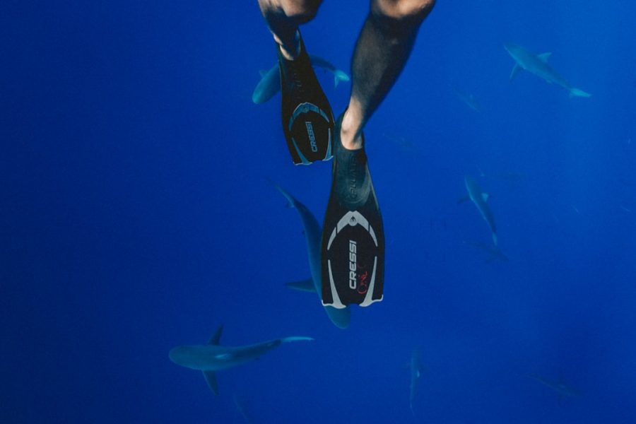 Photo Bodyboarder wearing fins